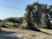 Sfakaki Kreta, Sfakaki: Grundstück mit Meerblick und Baugenehmigung für 3 Villas zu verkaufen Grundstück kaufen